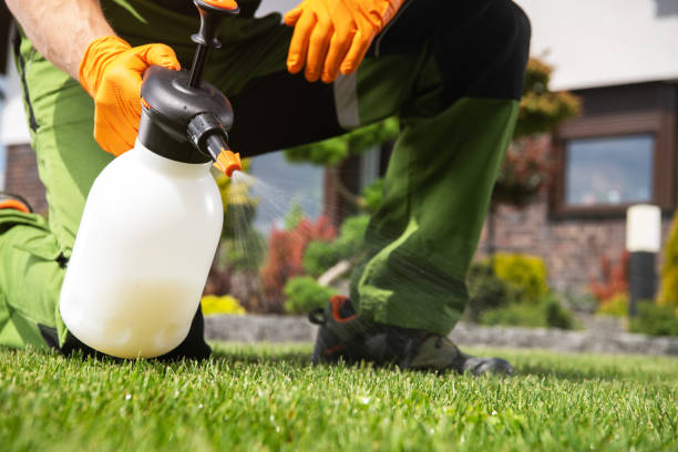Professional Pest Control in Arden On The Severn, MD