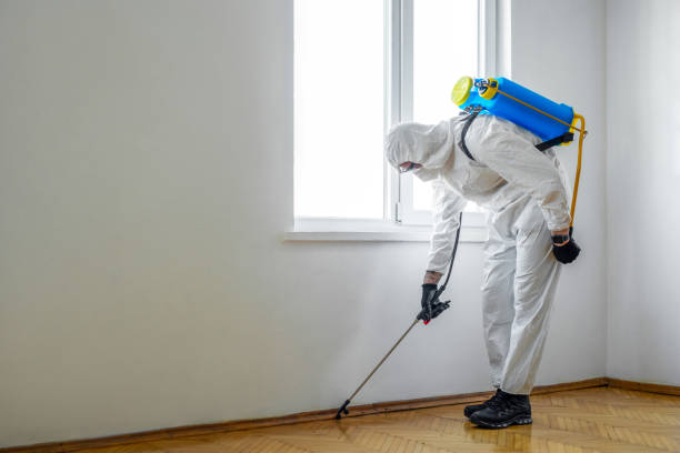 Best Best Pest Control Companies  in Arden On The Severn, MD